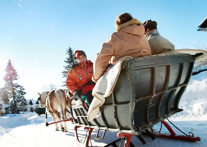 ファーンベアガー ゲストリング・アン・デア・イップス